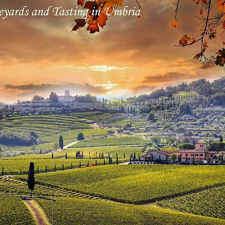 By Casamerina, With Indoor And Outdoor Pool Near Todi * Gaglietole